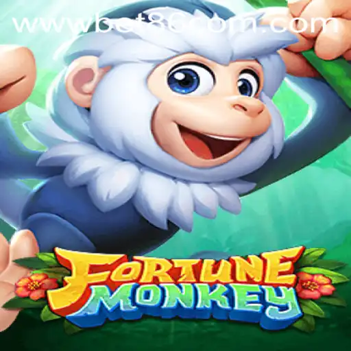 Exploring FortuneMonkey: A New Era in Gaming and Betting