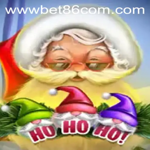 HoHoHo: Unwrapping the Excitement
